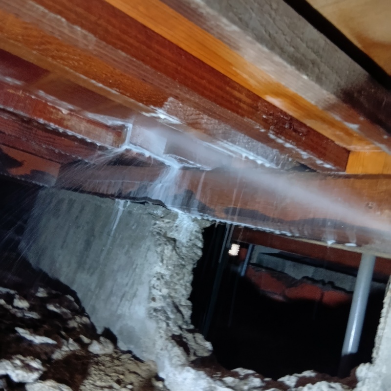 床下の木部に防蟻剤を散布