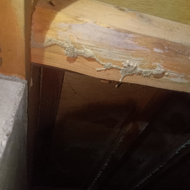 築年数33年のシロアリ駆除の施工事例（埼玉県所沢市上新井）