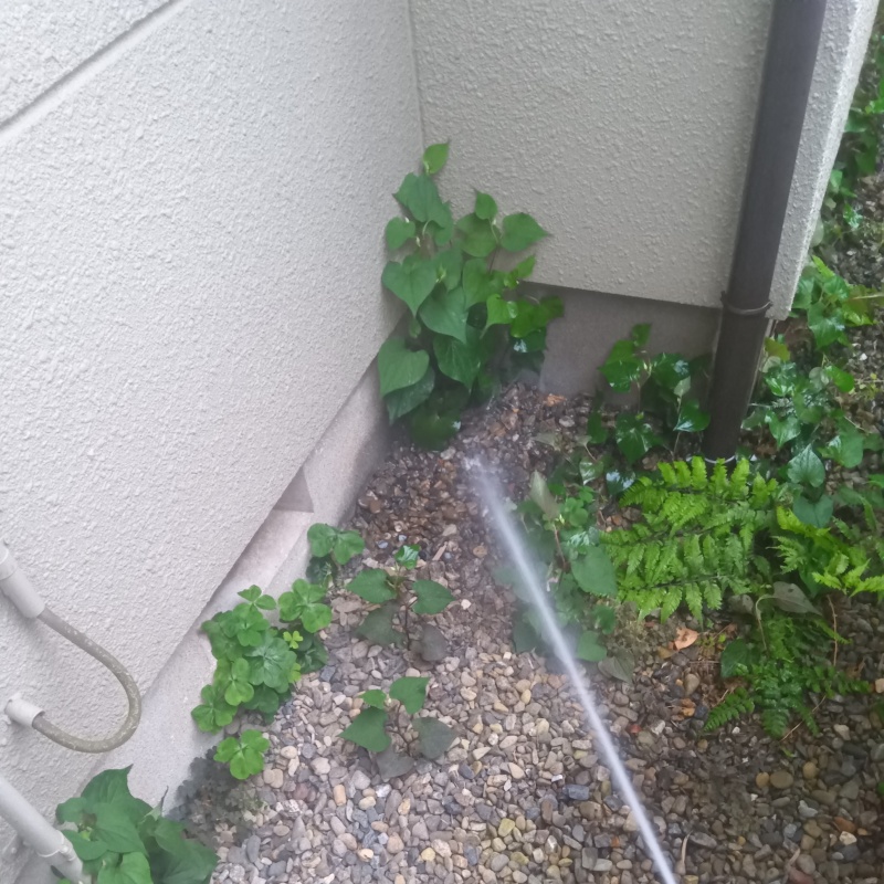 建物外周にシロアリ駆除剤を散布