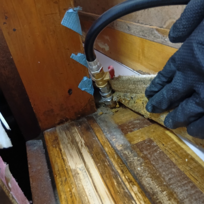 和室の畳にシロアリ駆除剤を注入