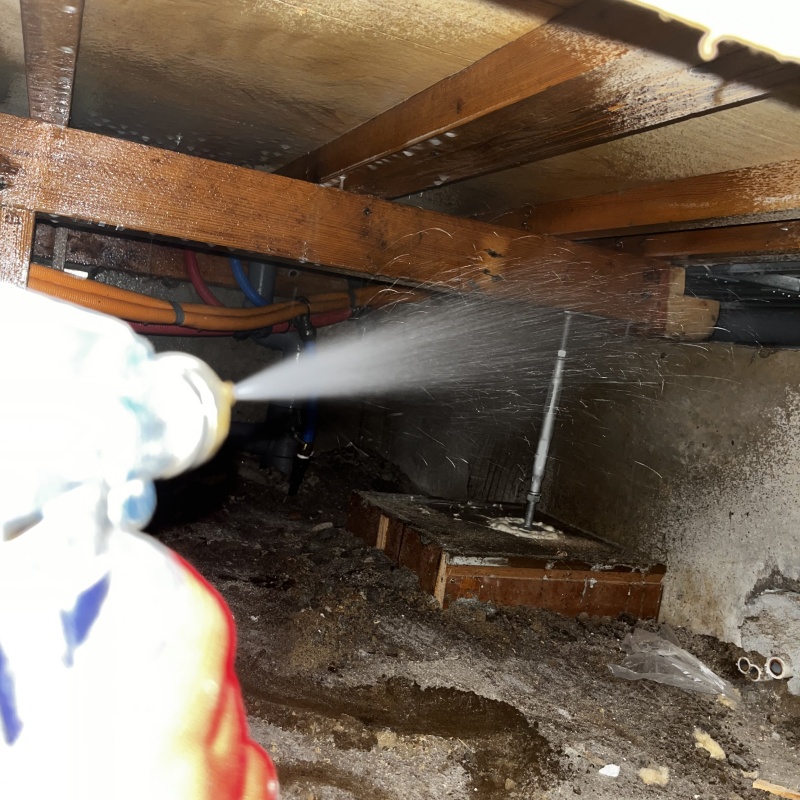 床下の木部にシロアリ駆除剤を散布