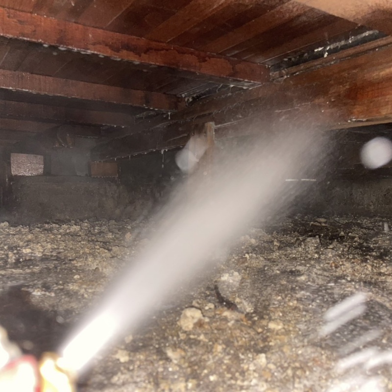 床下の木部にシロアリ駆除剤を散布