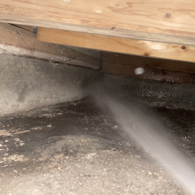 床下の土壌・基礎にシロアリ駆除剤を散布