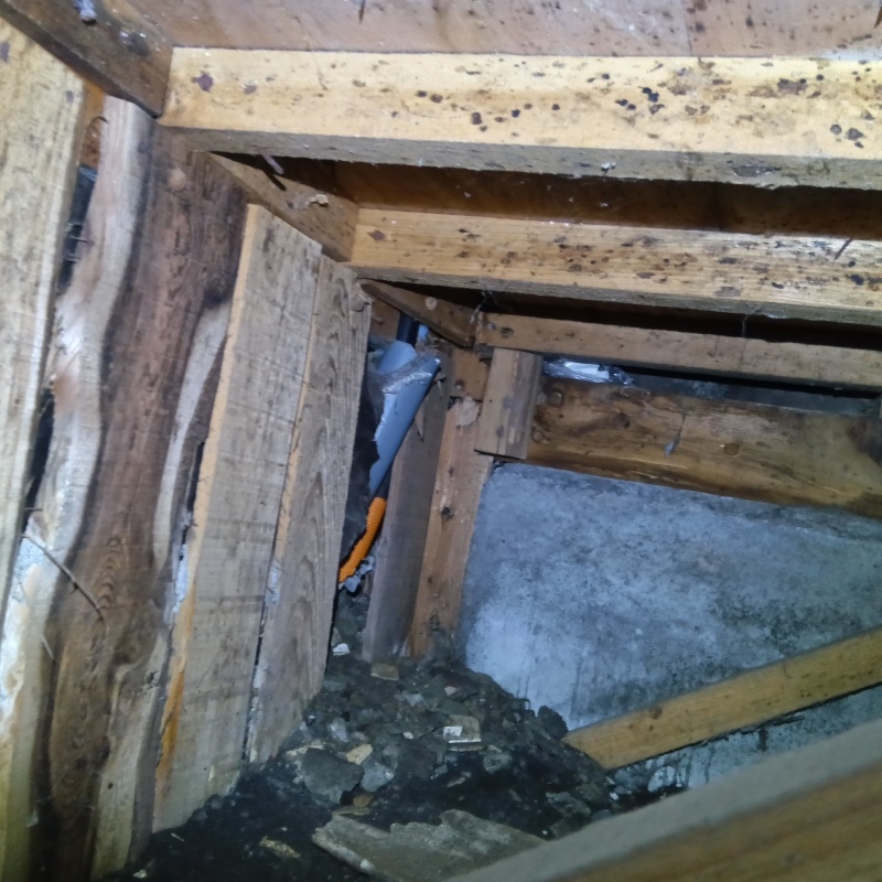 築年数40年のシロアリ駆除の施工事例（栃木県さくら市鷲宿）