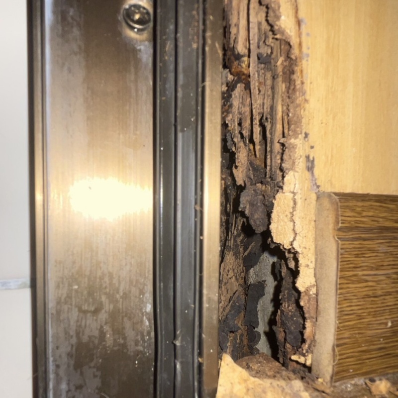 築年数50年のシロアリ駆除の施工事例（大阪府大阪市西淀川区柏里）