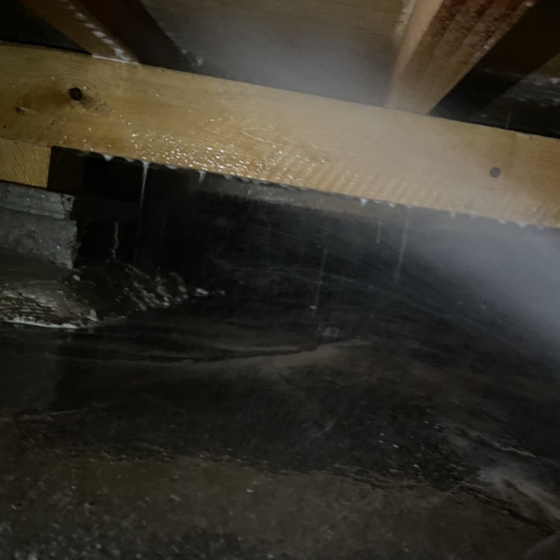 床下の木部にシロアリ駆除剤を散布