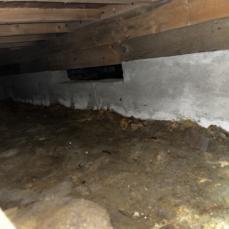 築年数45年のシロアリ駆除の施工事例（神奈川県横浜市栄区庄戸）