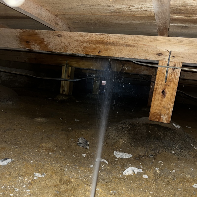 床下の木部にシロアリ駆除剤を散布