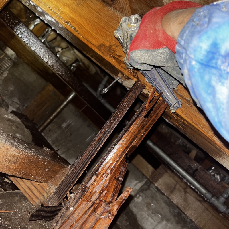 床下の木部にシロアリ駆除剤を散布