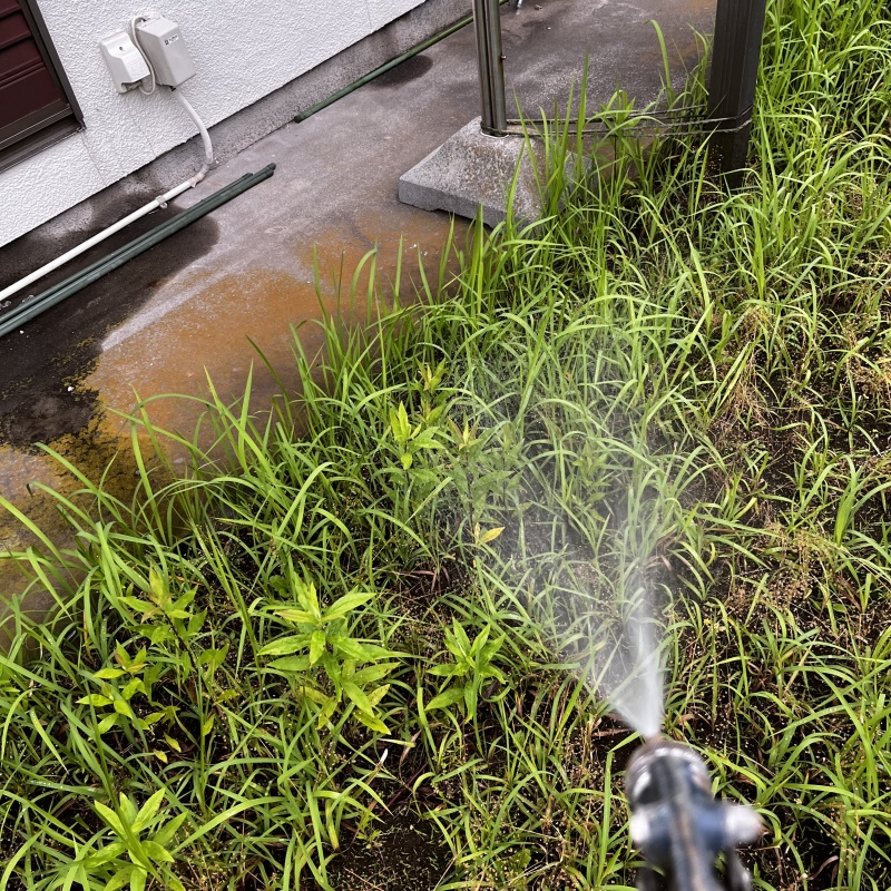 庭の地面にシロアリ駆除剤を散布