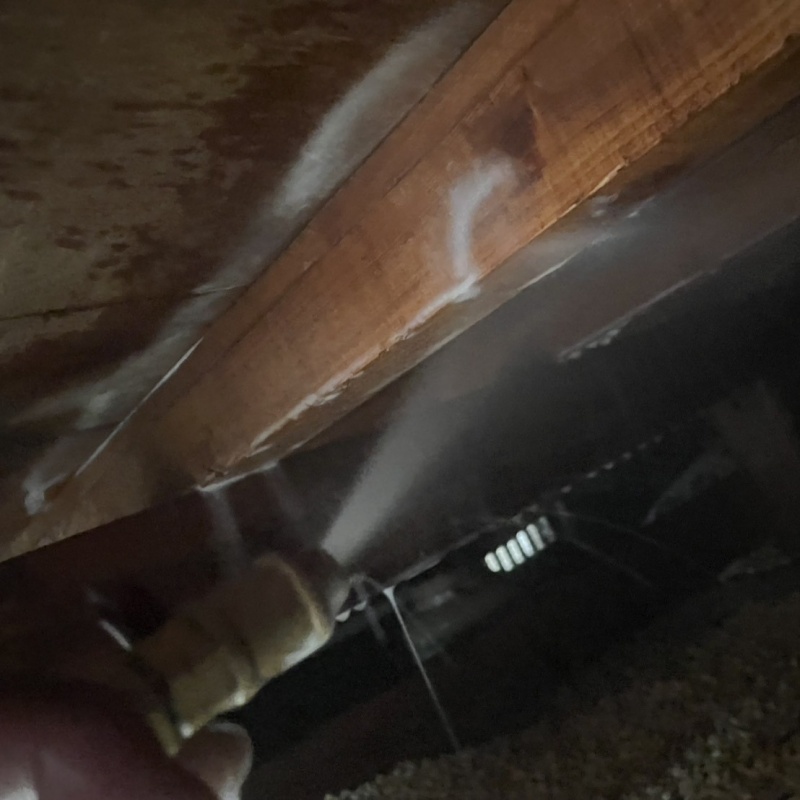 床下の木部にシロアリ駆除剤を散布