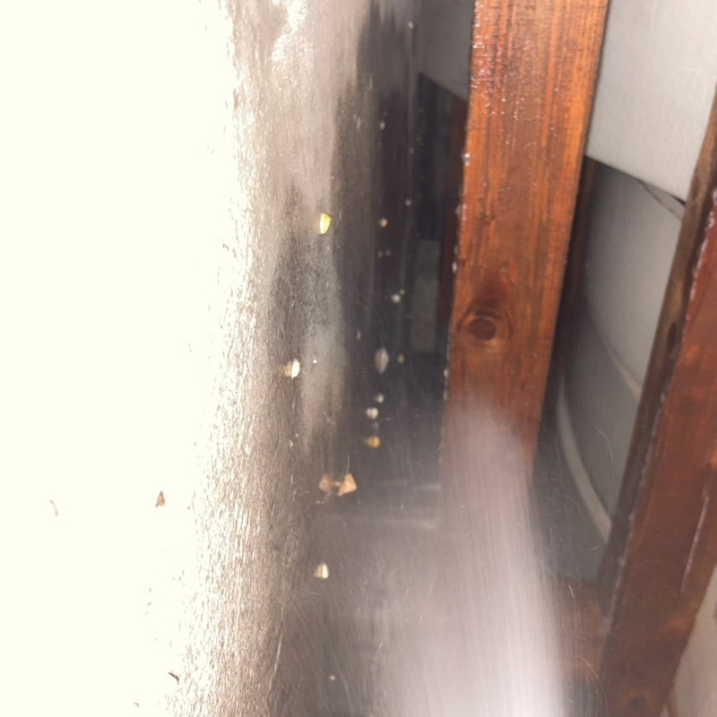 床下の木部にシロアリ駆除剤を散布