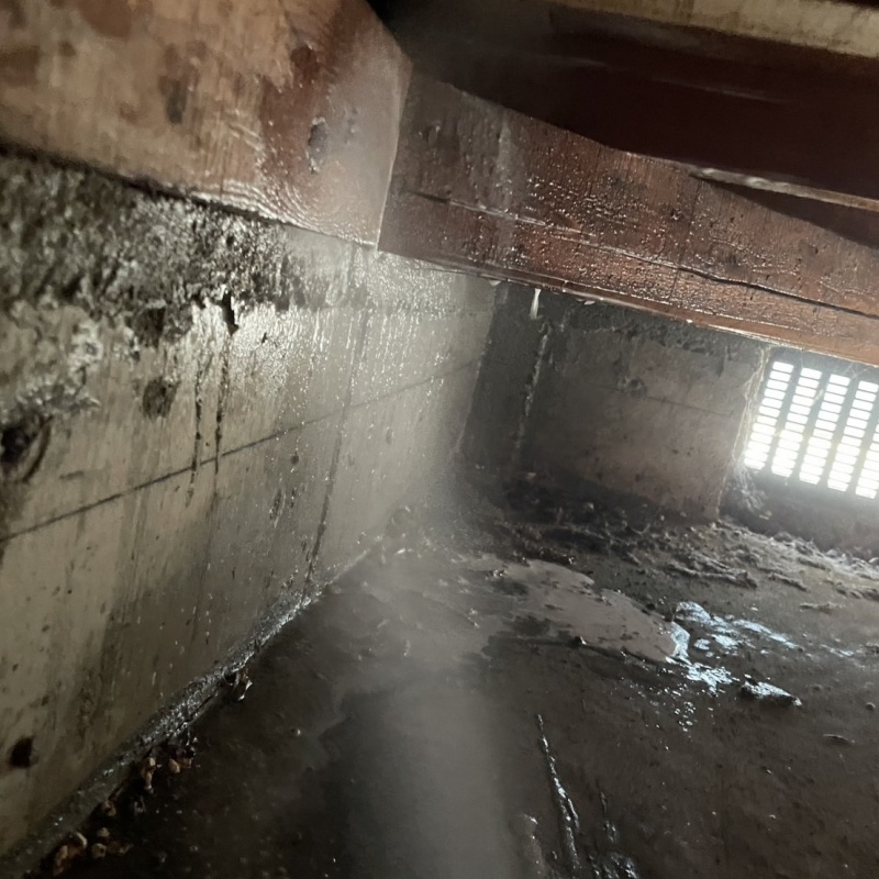 床下の土壌・基礎にシロアリ駆除剤を散布