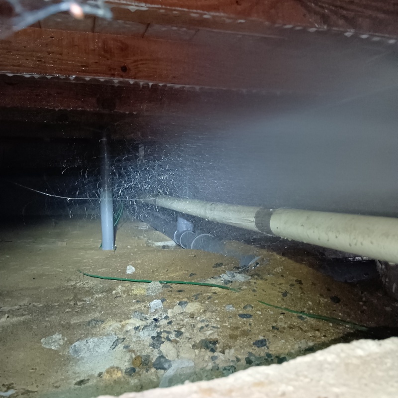 床下の木部にシロアリ駆除剤を散布