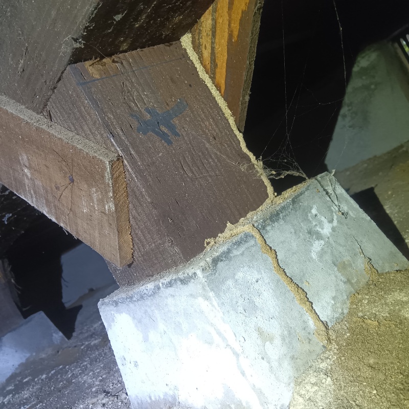 築年数40年のシロアリ駆除の施工事例（山口県下松市東和）