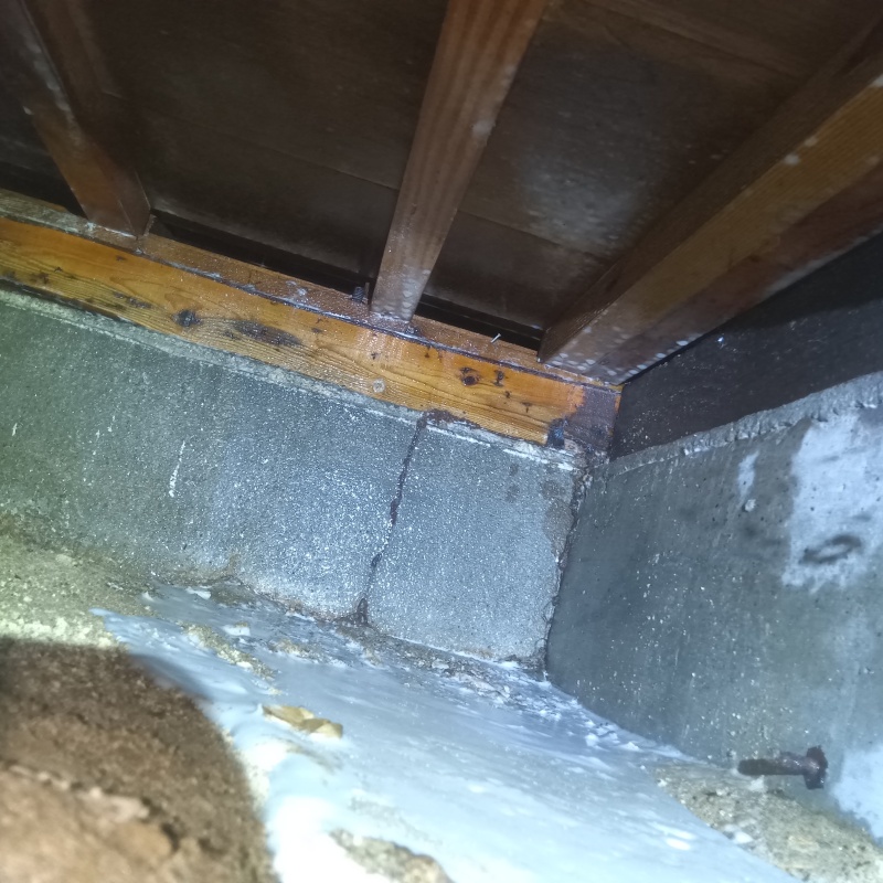 床下の土壌・基礎にシロアリ駆除剤を散布