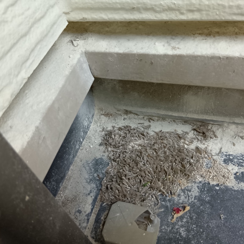 築年数18年のシロアリ駆除の施工事例（愛知県稲沢市長野）