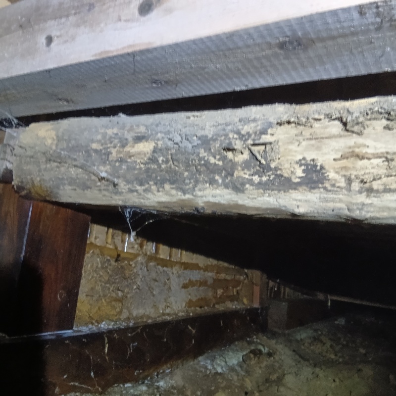 築年数100年のシロアリ駆除の施工事例（茨城県笠間市下郷）
