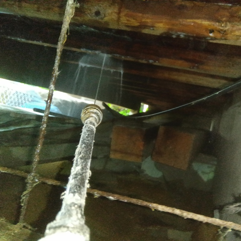 床下の木部にシロアリ駆除剤を散布