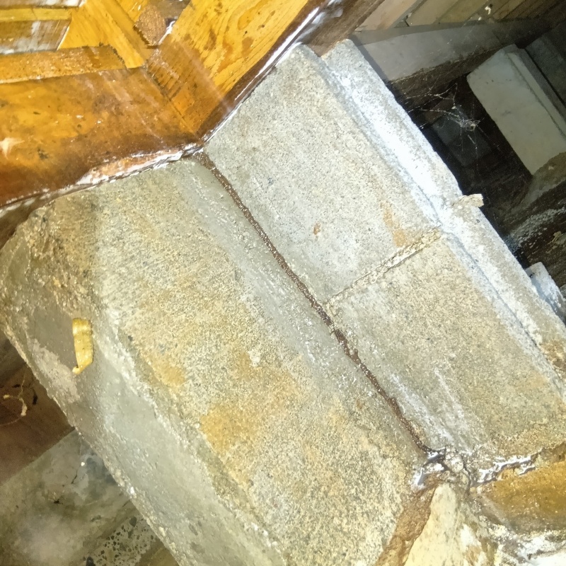 築年数50年のシロアリ駆除の施工事例（茨城県東茨城郡茨城町城之内）