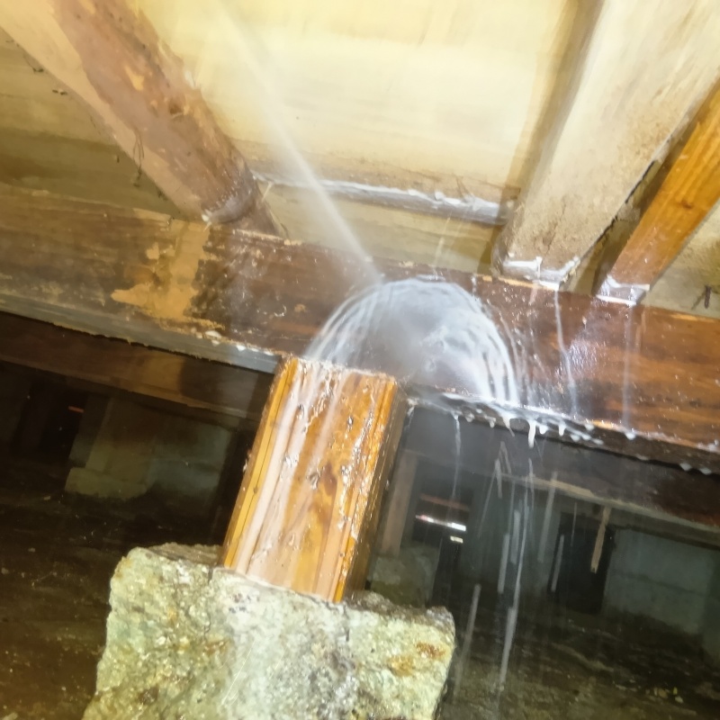 床下の木部にシロアリ駆除剤を散布