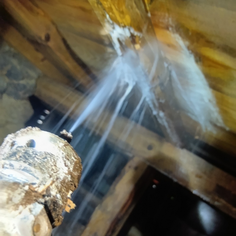 床下の木部にシロアリ駆除剤を散布