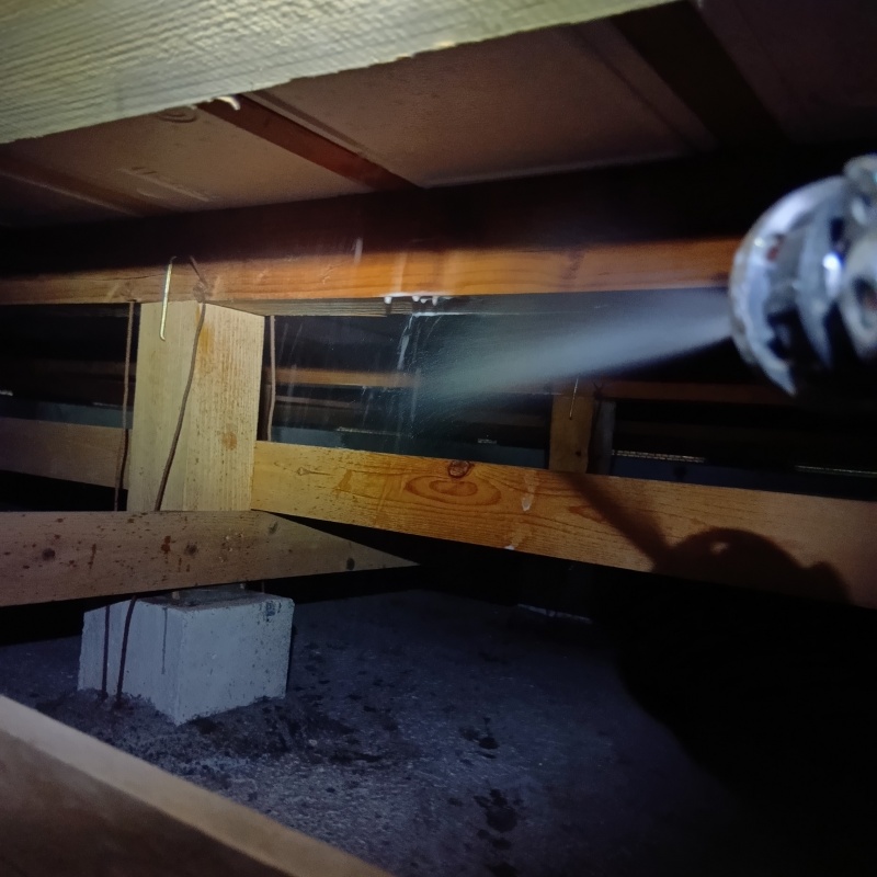 床下の木部にシロアリ駆除剤を散布