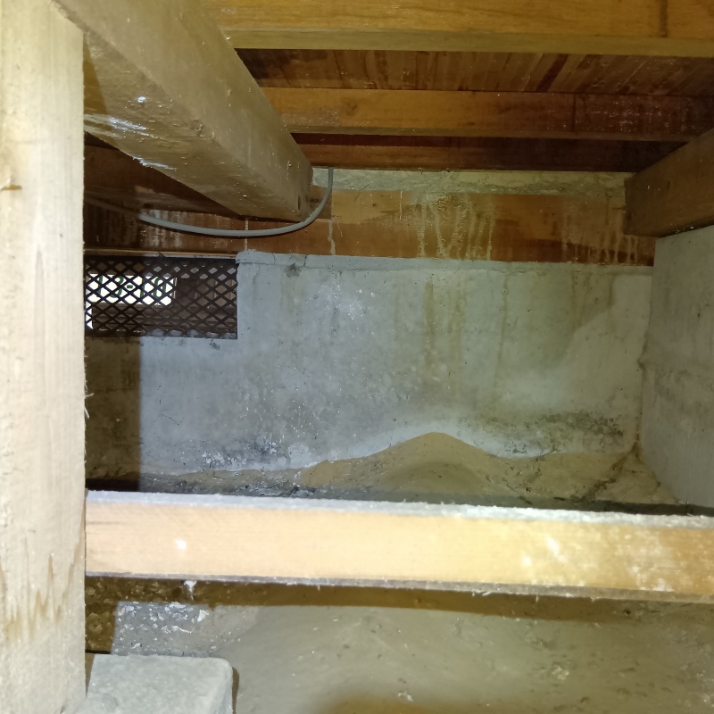 築年数40年のシロアリ駆除の施工事例（愛知県名古屋市緑区鳴海町上汐田）