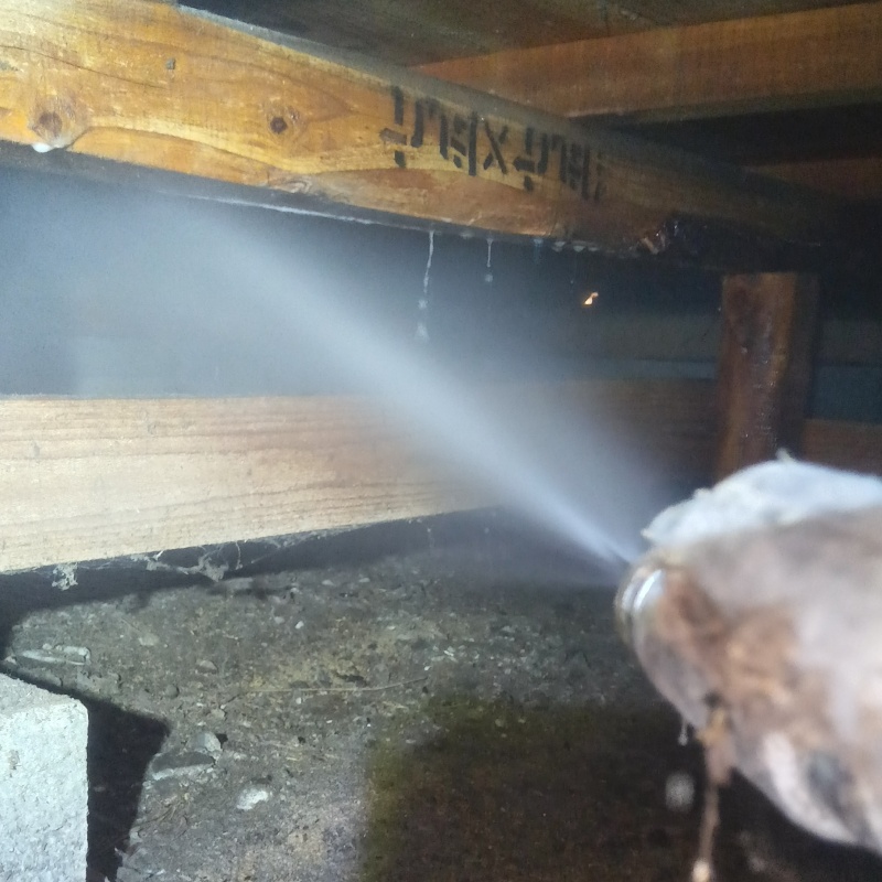 床下の木部にシロアリ駆除剤を散布