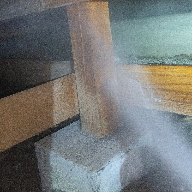 床下の木部にシロアリ駆除剤を散布