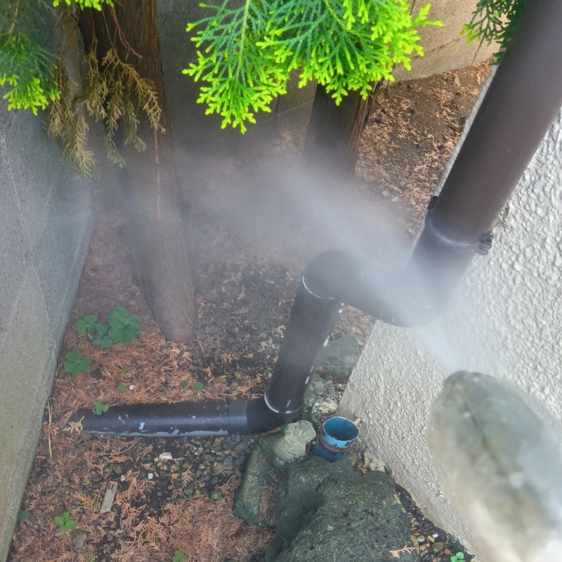 庭の草木や地面にシロアリ駆除剤を散布