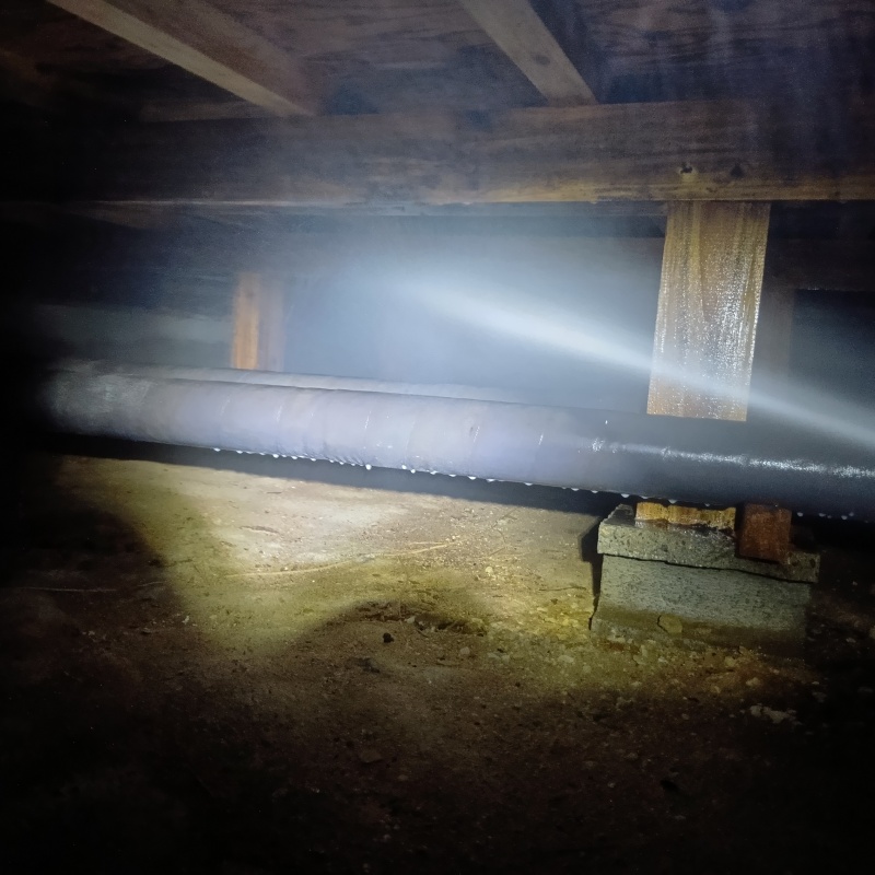 築年数20年のシロアリ駆除の施工事例（千葉県成田市竜台）