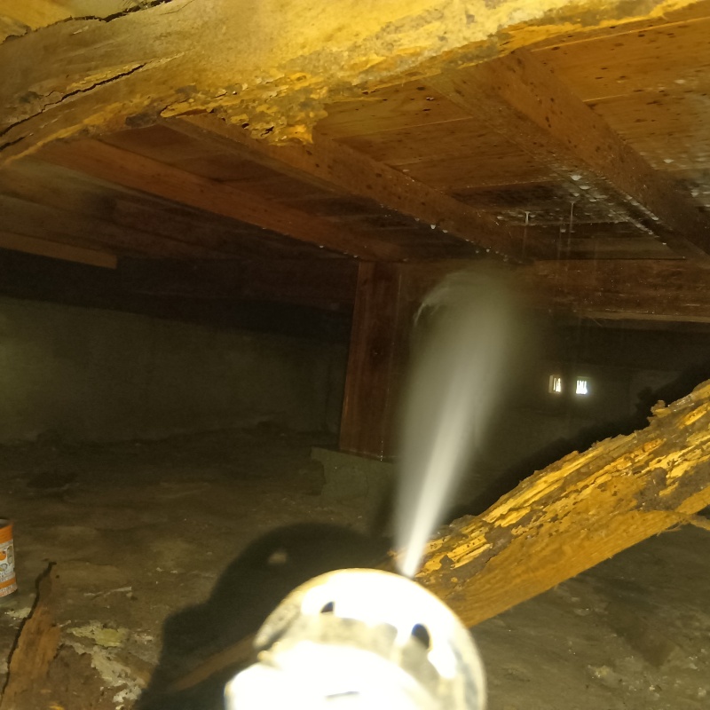 床下の木部にシロアリ駆除剤を散布