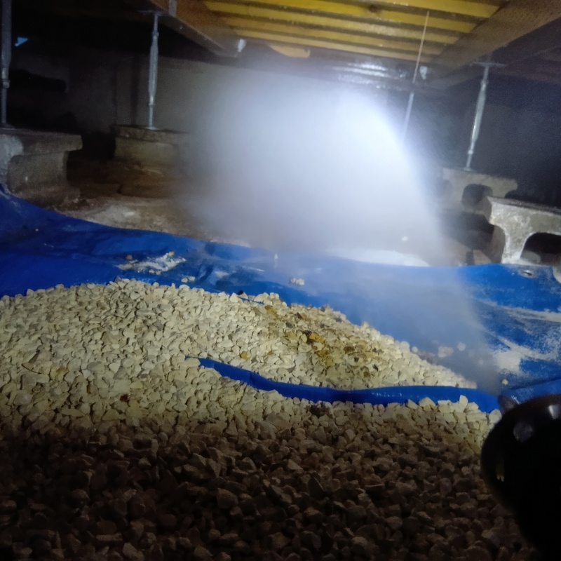 床下の基礎にシロアリ駆除剤を散布