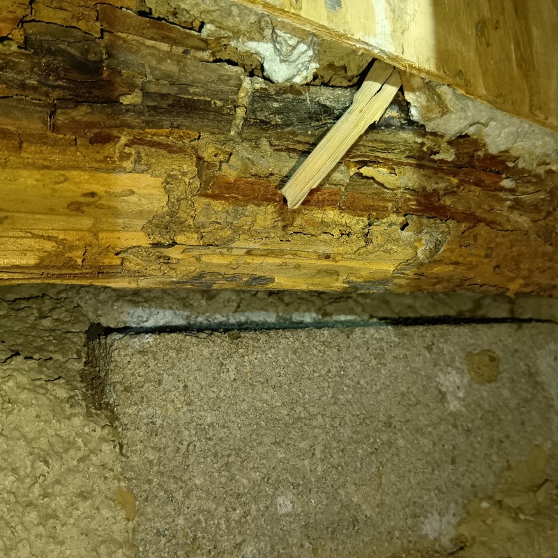 築年数50年のシロアリ駆除の施工事例（愛知県弥富市五明町築留）