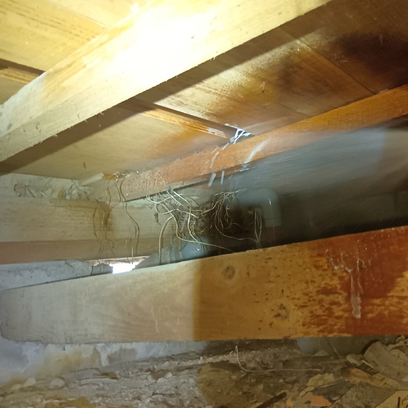 床下の木部にシロアリ駆除剤を散布