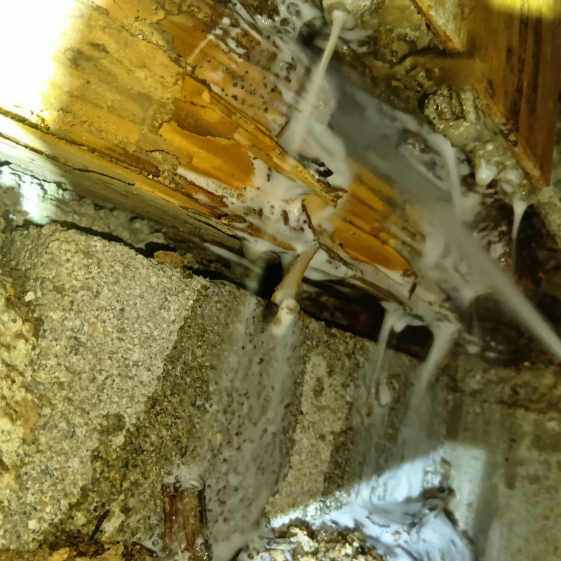 床下の木部にシロアリ駆除剤を散布