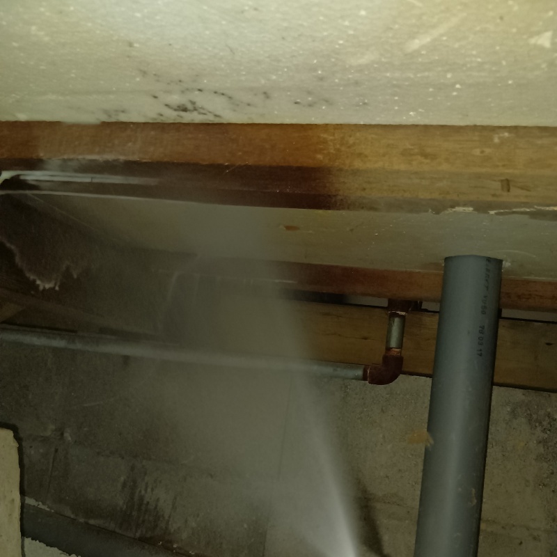 床下の木部にシロアリ駆除剤を散布