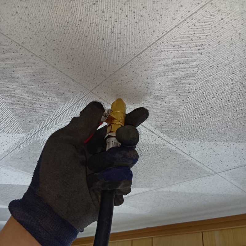 天井にシロアリ駆除剤を注入