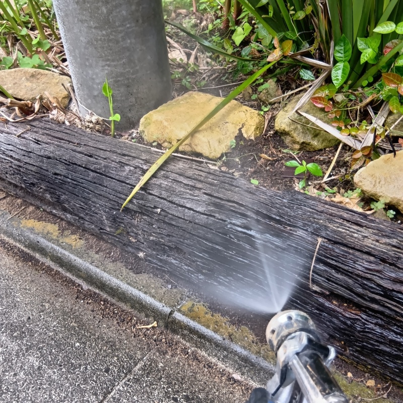 庭を飾る樹木にシロアリ駆除剤を散布