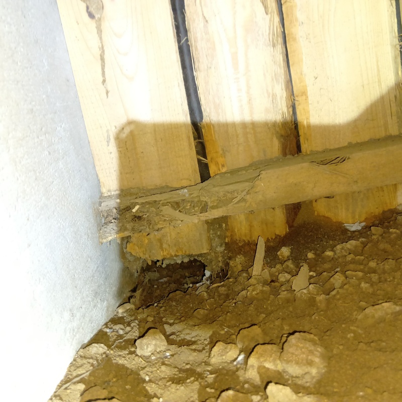 築年数40年のシロアリ駆除の施工事例（千葉県柏市豊平町）