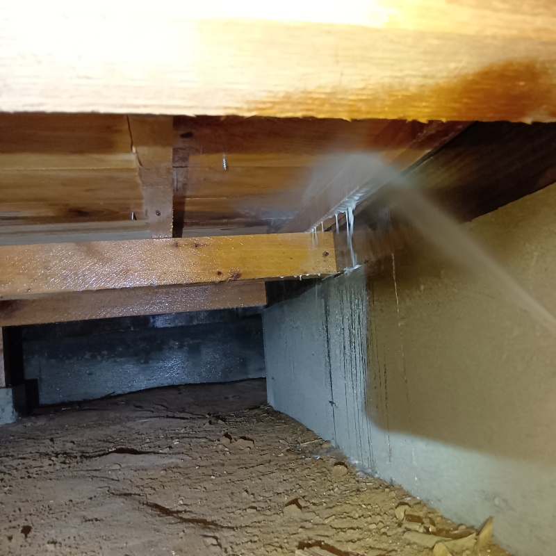 床下の木部にシロアリ駆除剤を散布