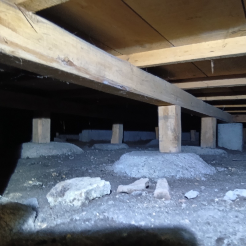 築年数50年のシロアリ駆除の施工事例（栃木県日光市並木町）