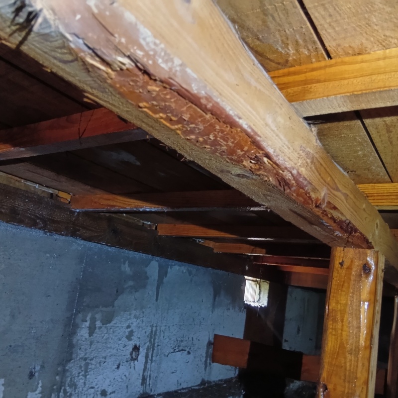 築年数45年のシロアリ駆除の施工事例（栃木県河内郡上三川町しらさぎ）