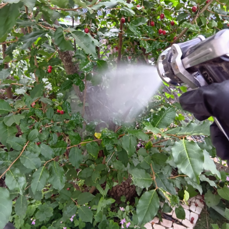 庭の草木にシロアリ駆除剤を散布