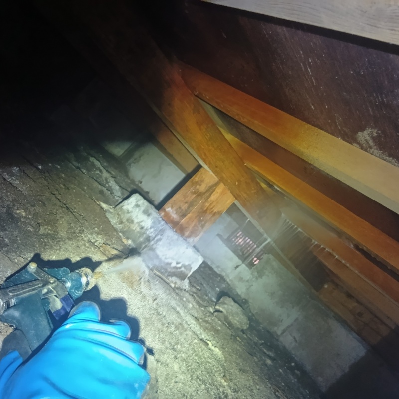 床下の木材にシロアリ駆除剤を散布する様子