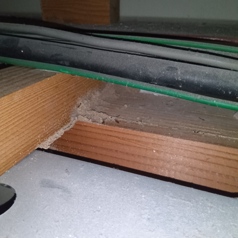 シロアリ駆除の施工事例（東京都八王子市）