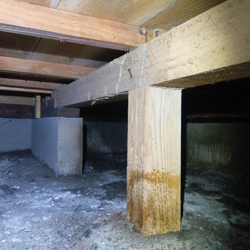 築年数40年のシロアリ駆除の施工事例（群馬県渋川市行幸田）