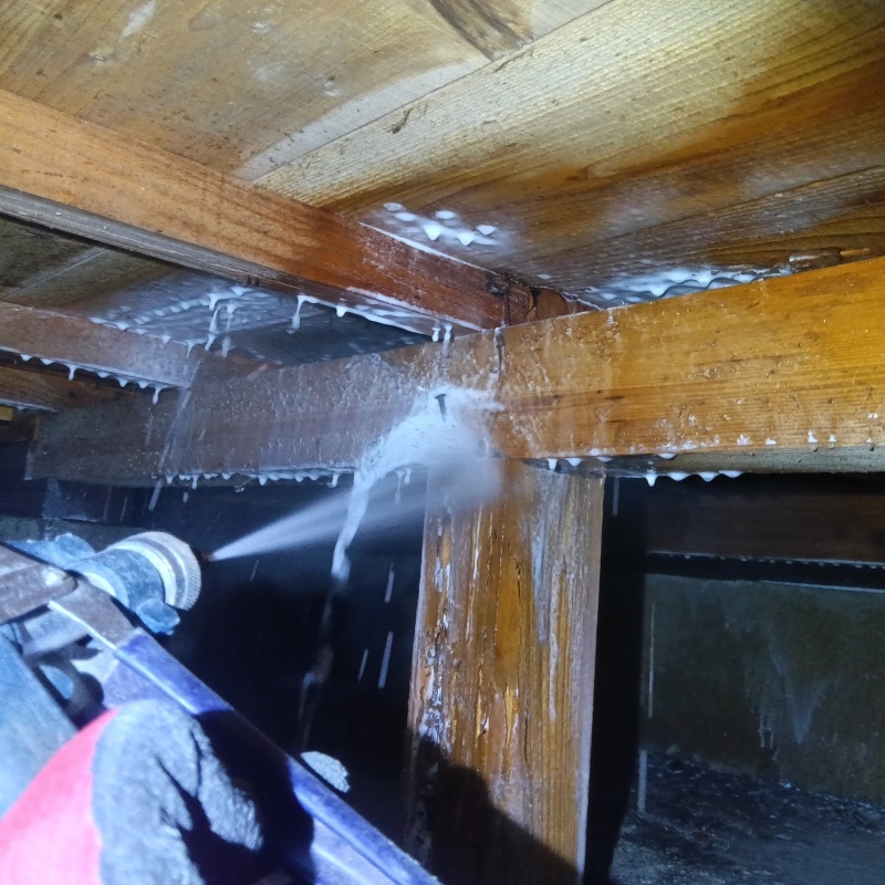 床下の木材にシロアリ駆除剤を散布する様子