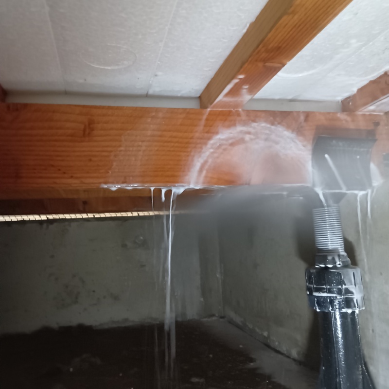 床下の木材にシロアリ駆除剤を散布する様子